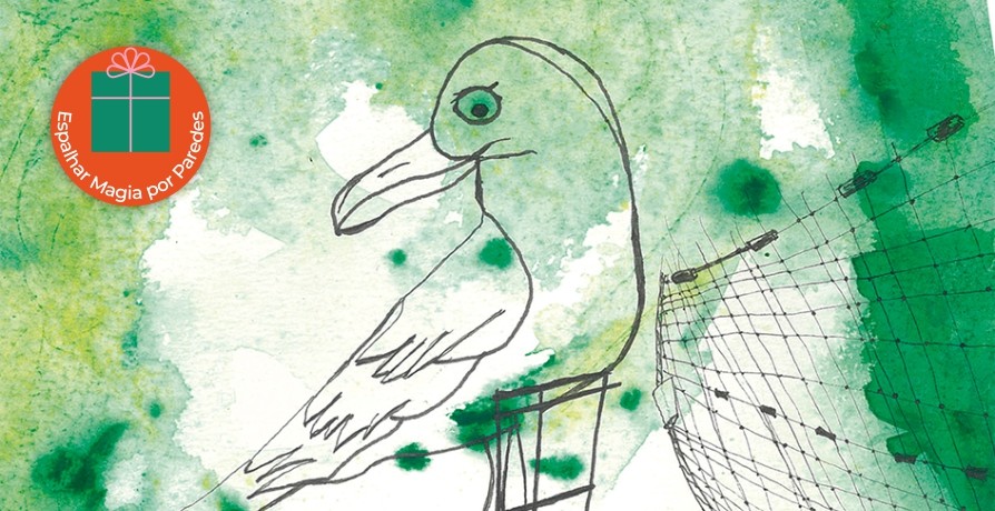 Apresentação do Livro "A Professora Gaivota", de Isabel Alves Pereira