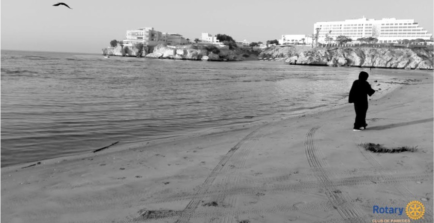 Palestra "O Papel da Mulher no Médio Oriente"