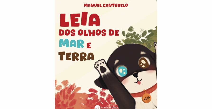 Apresentação do Livro "Leia dos Olhos de Mar e Terra" de Manuel Cantubelo