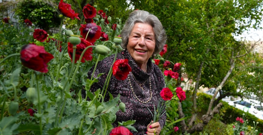 Homenagem Poética a Donzília Martins