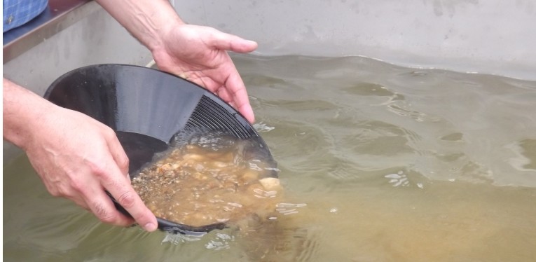 Semana dos Parceiros do Roteiro das Minas "Batear, batear... para o ouro encontrar"