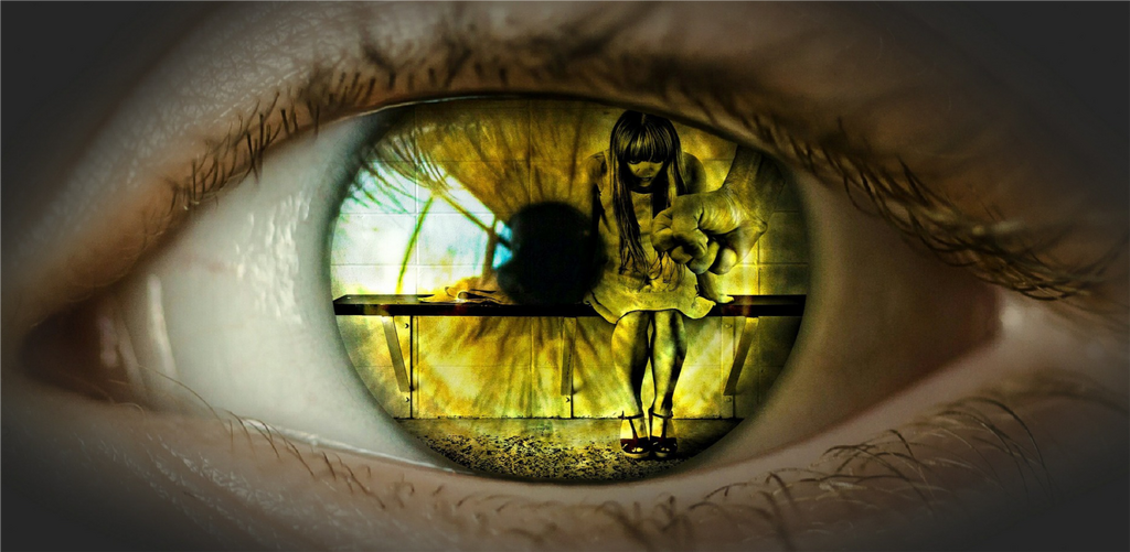 Seminário Interdisciplinar: Violência Doméstica - Conhecer para Intervir