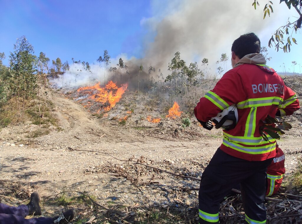 Proteção Civil participou em ação de formação de fogo controlado dos bombeiros do Concelho de Par...