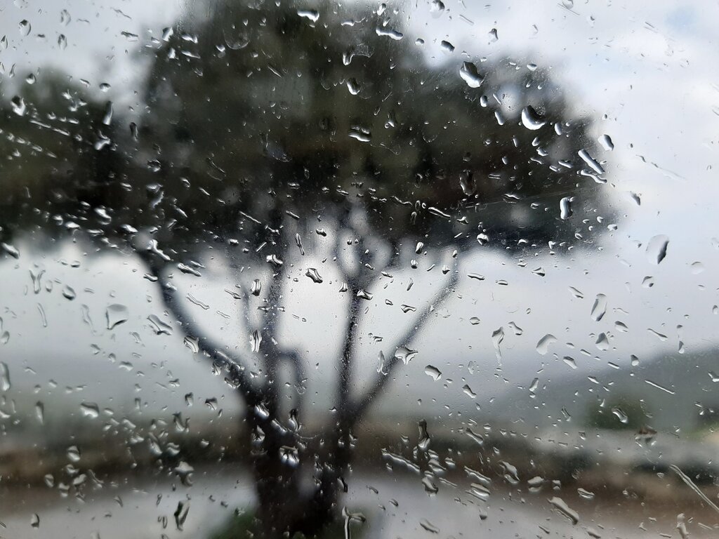 Chuva e vento forte colocam seis distritos sob aviso laranja e cinco em aviso amarelo