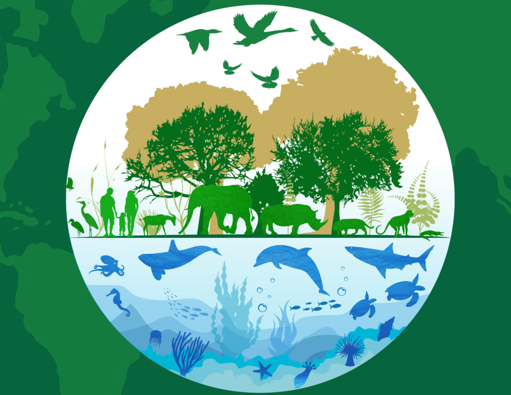 Pelouro do Ambiente da Câmara de Paredes assinala Dia Mundial da Vida Selvagem com diversas ativi...