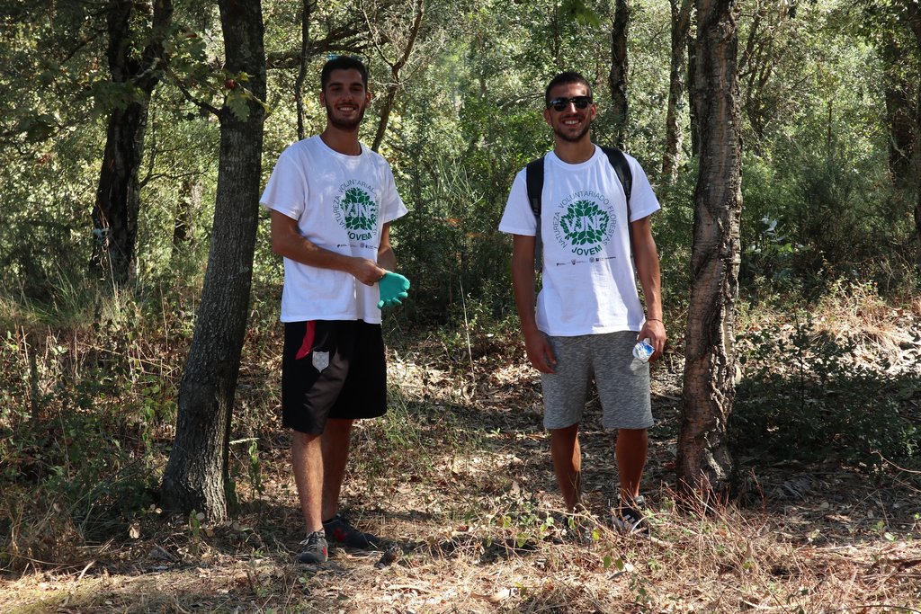 Inscrições abertas para o programa “Voluntariado Jovem Natureza e Floresta” em Paredes