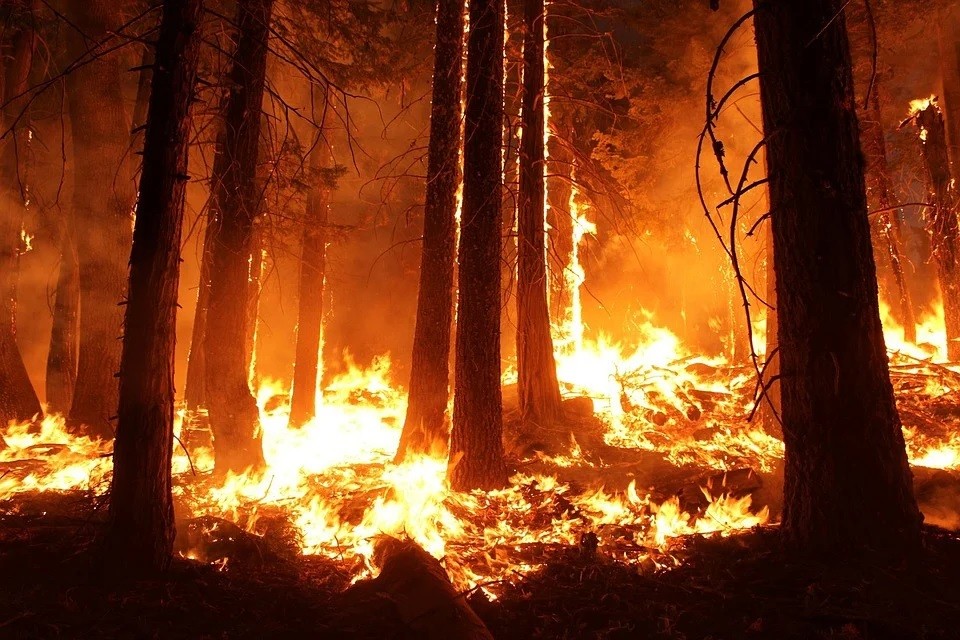 Situação de alerta no Concelho de Paredes devido a incêndios florestais