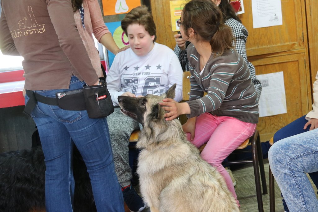 Câmara de Paredes promove Ações de Terapia Assistida por Animais