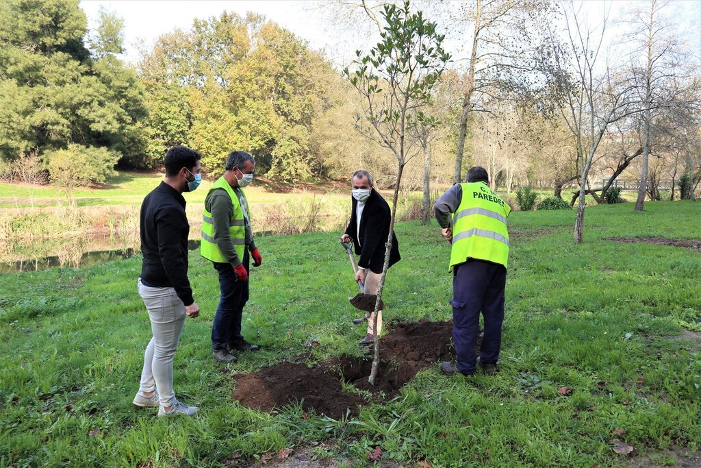 DIA DA FLORESTA AUTÓCTONE  | 23 DE NOVEMBRO