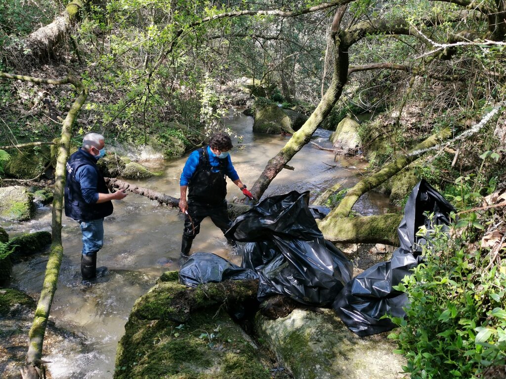 Aprisof, Câmara de Paredes e Junta de Lordelo limpam ribeira do Parque do Rio Ferreira