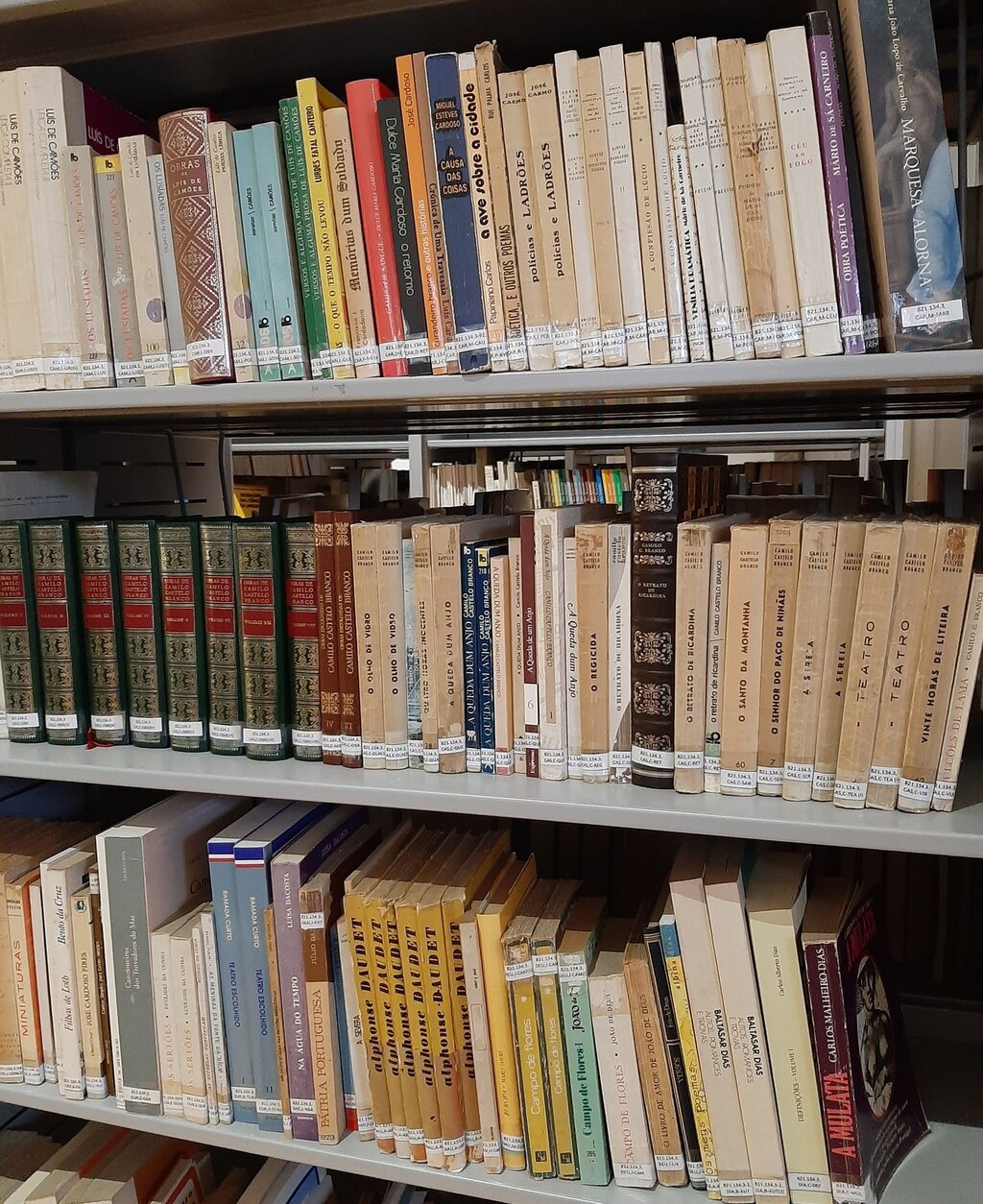 BIBLIOTECA MUNICIPAL DE PAREDES OFERECE LIVROS