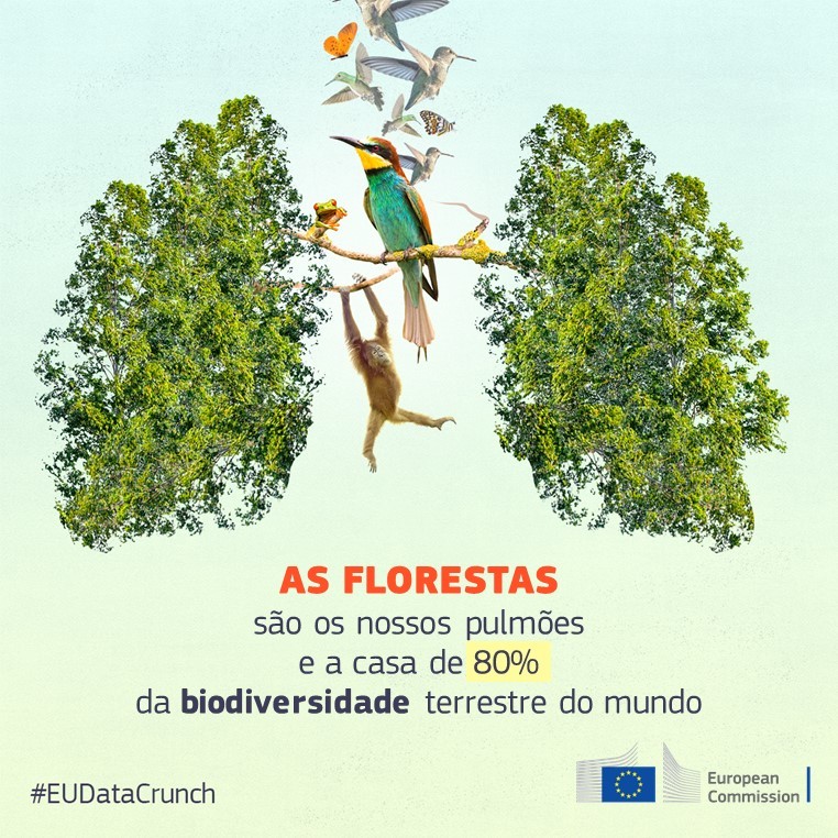 Forests EU