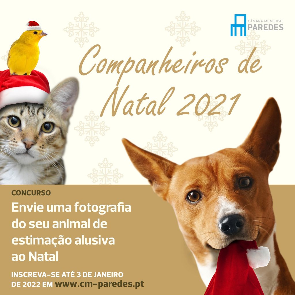 CONCURSO COMPANHEIROS DE NATAL 2021