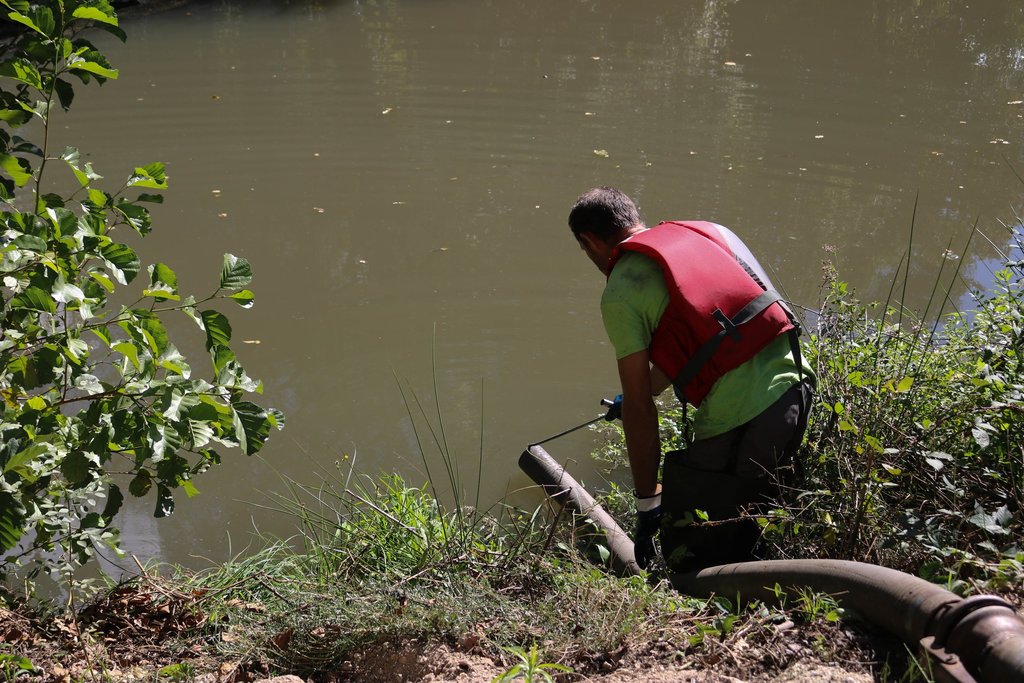 Início da limpeza e remoção de lamas do leito da Levada do Souto, do Rio Ferreira, em Lordelo
