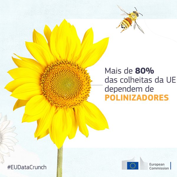 #EUPollinators