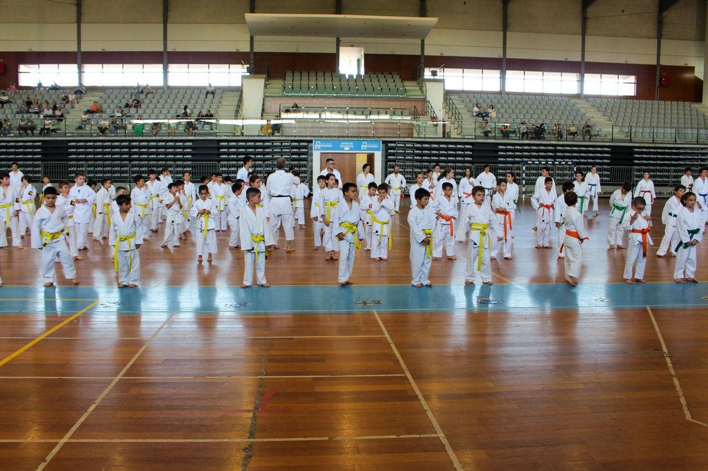 350 atletas disputam Taça Nacional do Centro Português de Karaté no Pavilhão Multiusos de Paredes 