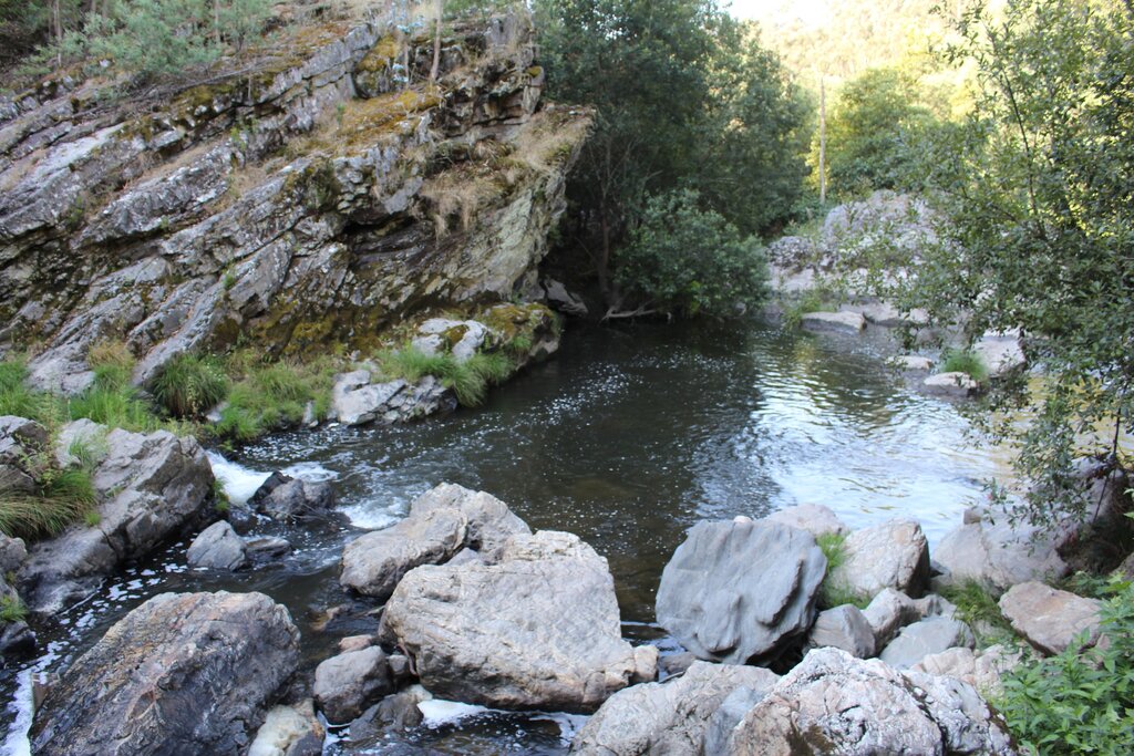 Jornadas do Ambiente de Paredes debatem futuro dos rios envolvendo investigadores e eco-escolas