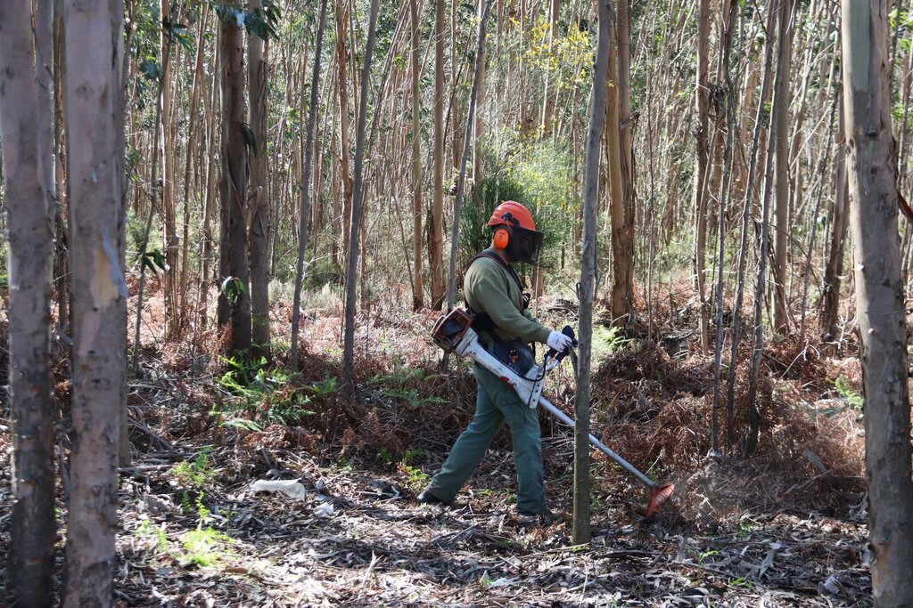 Município apresenta candidatura ao PRR “Paredes + Resiliente” para atuar em territórios vulneráve...