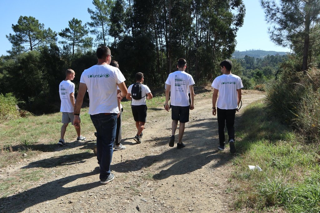 Município de Paredes desafia jovens a “proteger o ambiente”, no âmbito do programa “Voluntariado ...