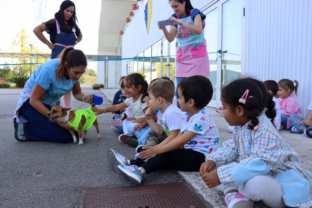 Município de Paredes promove “Dia do Animal” com uma semana cheia de iniciativas e novos projetos