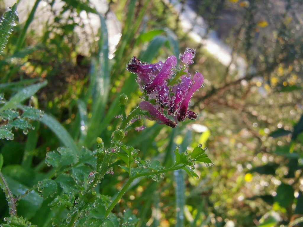 BOLETIM PAREDES AMBIENTE // EDIÇÃO N. 44 (JANEIRO 2024)