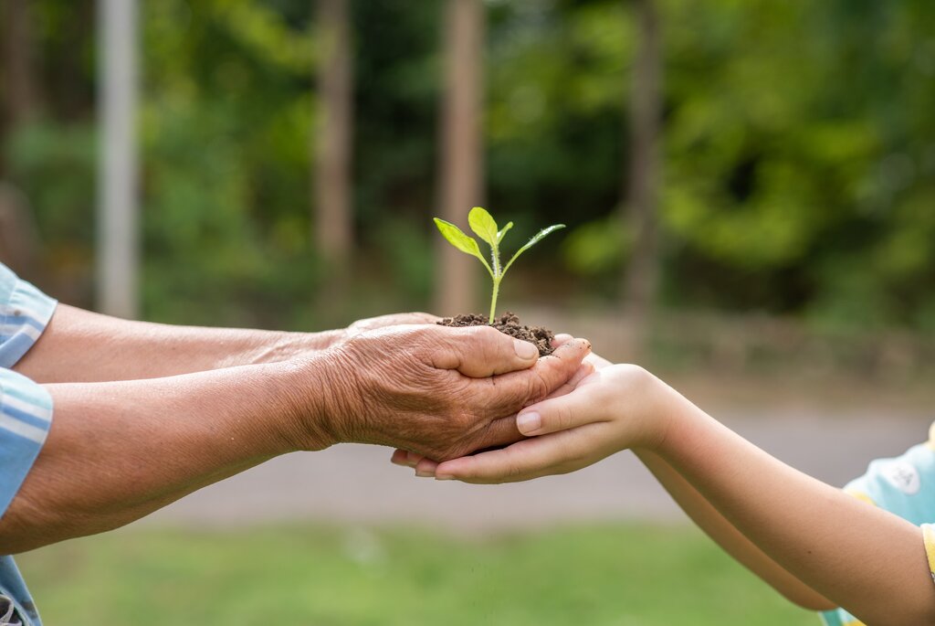 Município de Paredes dedica uma semana a promover sustentabilidade ambiental