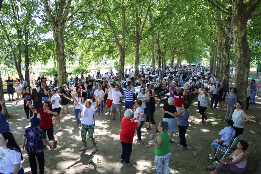 Câmara de Paredes promove festa no Parque da Cidade para celebrar Dia dos Avós