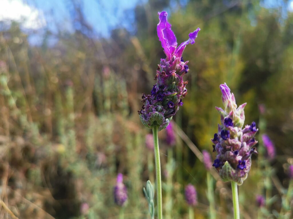 BOLETIM PAREDES AMBIENTE // EDIÇÃO N. 50 (JULHO 2024)