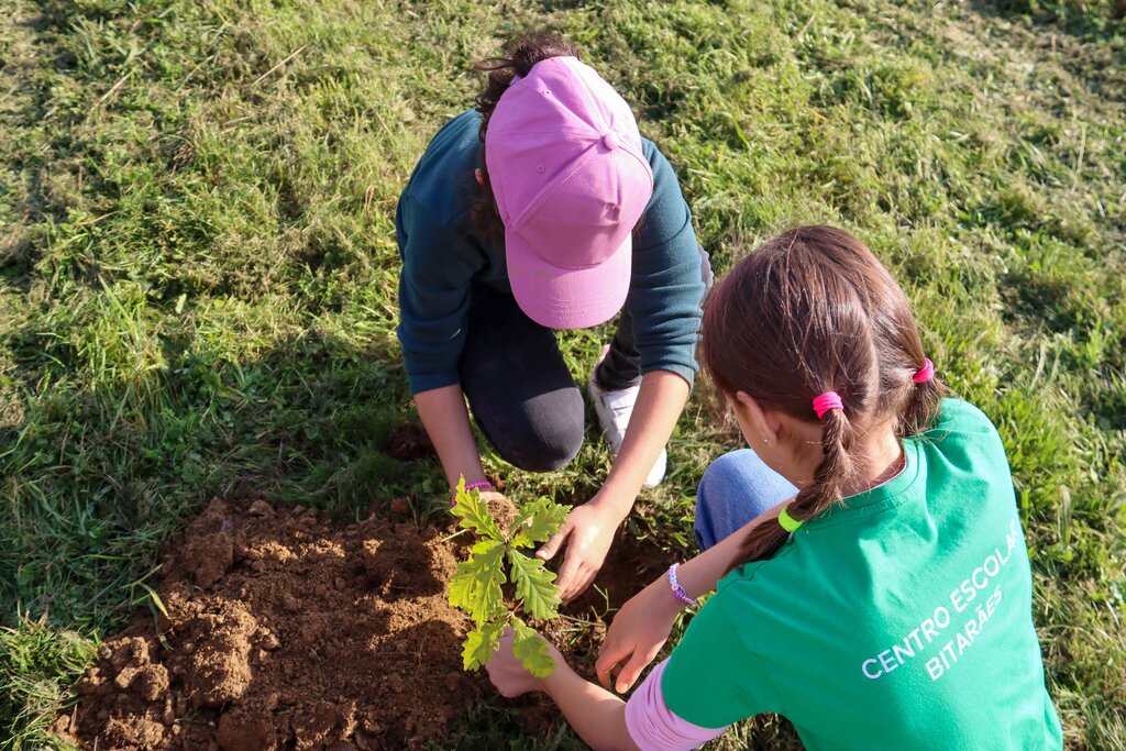 Câmara de Paredes planta 2000 árvores dando mais um passo na neutralidade carbónica