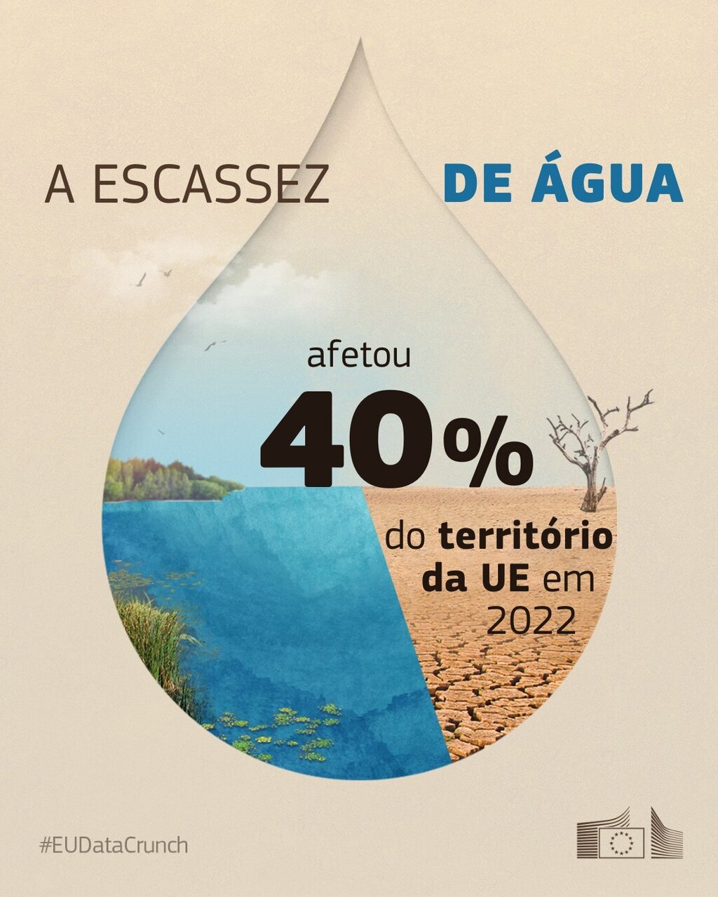 A Escassez de Água