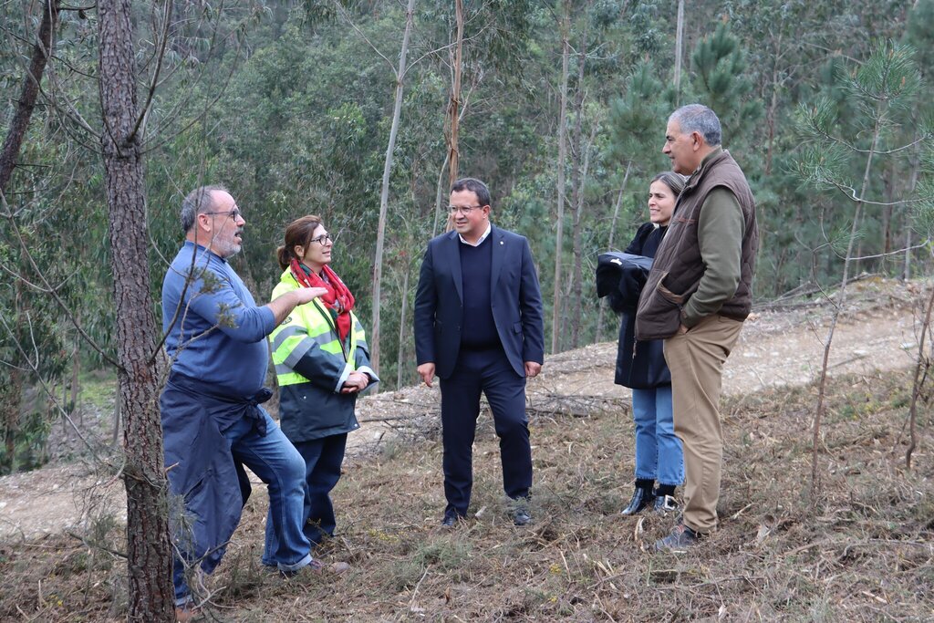 Município de Paredes vai reflorestar 146 hectares com árvores autóctones até 2027