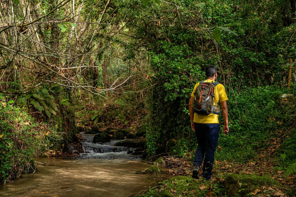 “Trilho de S. Silvestre” marca arranque da VI edição do projeto “Descobrir Paredes”