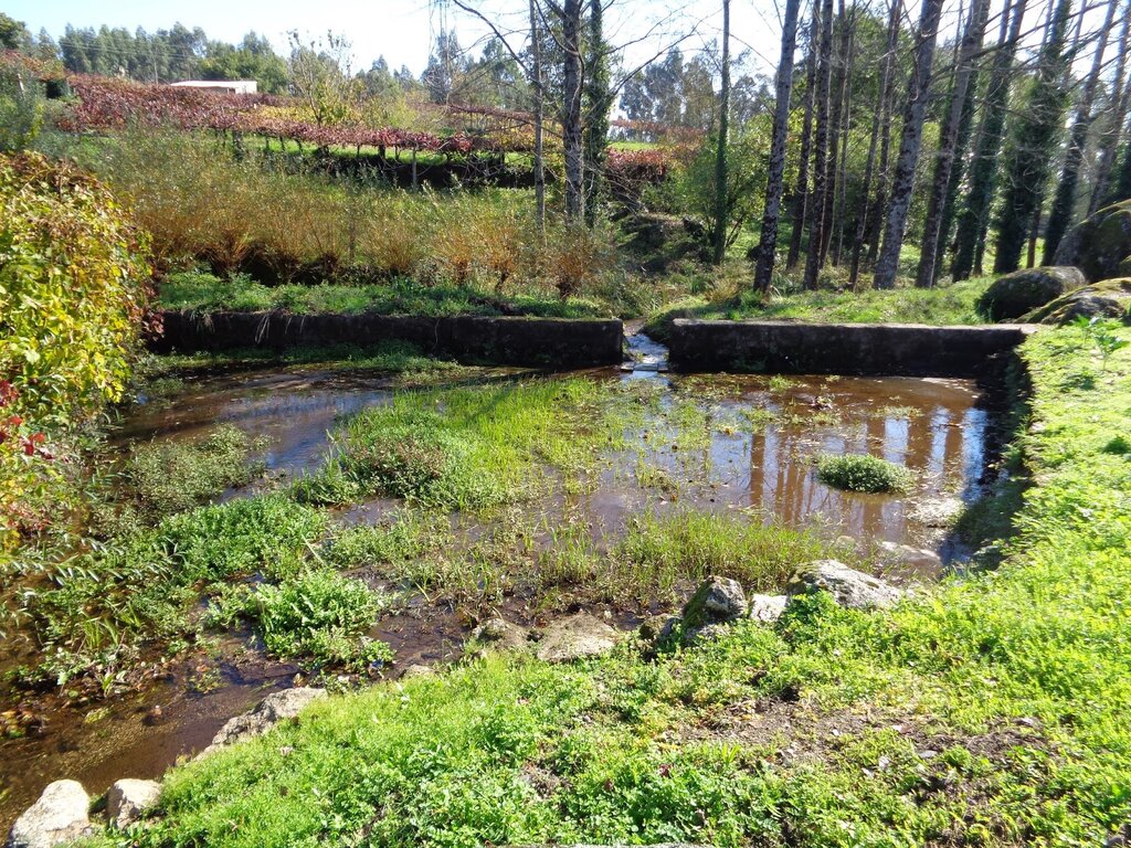 Apontamentos da Nossa História | Águas de Regadio – lugar da Gralheira, Baltar - Direitos de água