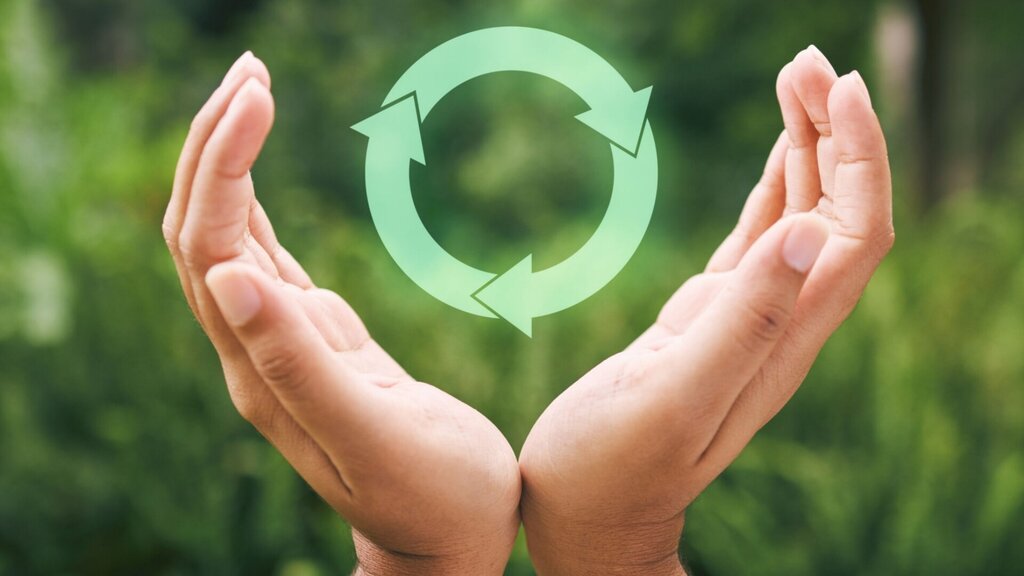 Município de Paredes promove seminário sobre economia circular na Escola Básica e Secundária de V...