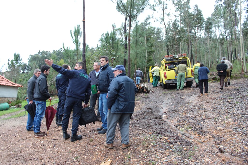 Autarquia de Paredes relembra que o prazo para limpar terrenos termina dia 15 de março