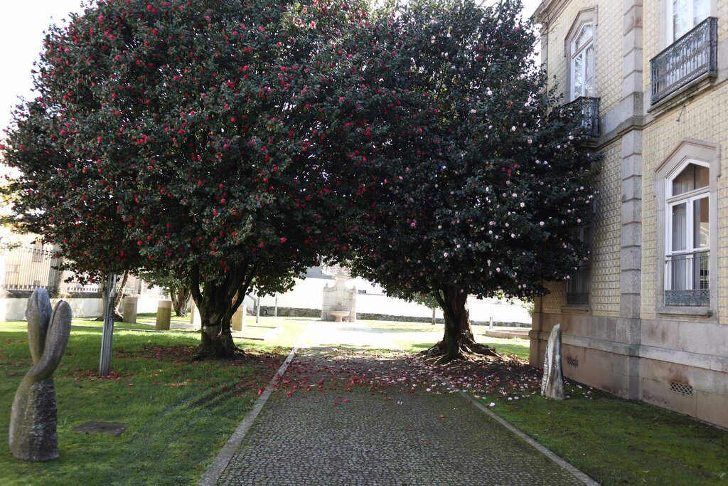 2ª edição do Festival da Flor celebra a primavera na Casa da Cultura de Paredes