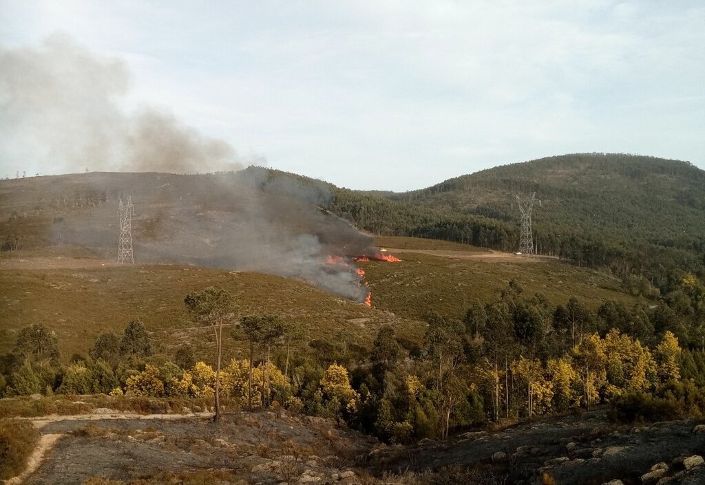 Governo declara situação de alerta de todos os distritos devido ao risco de incêndio entre quarta...