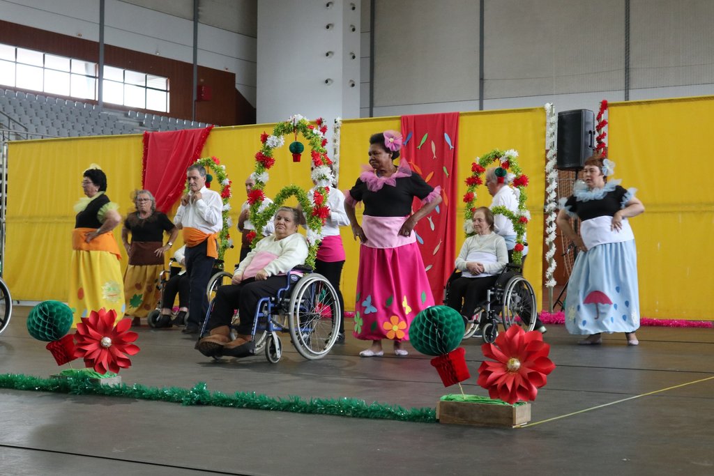 Cerca de 400 seniores de Paredes deram cor música às Marchas de São João 