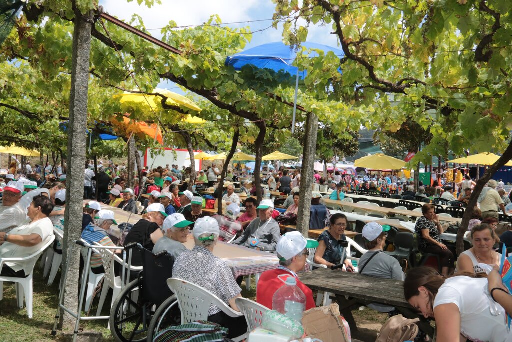 Paredes celebra o Dia dos Avós com atividades recreativas no Parque do Rio Ferreira 