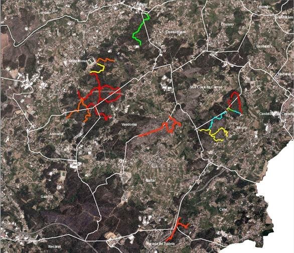 Mapa Limpeza de Caminhos