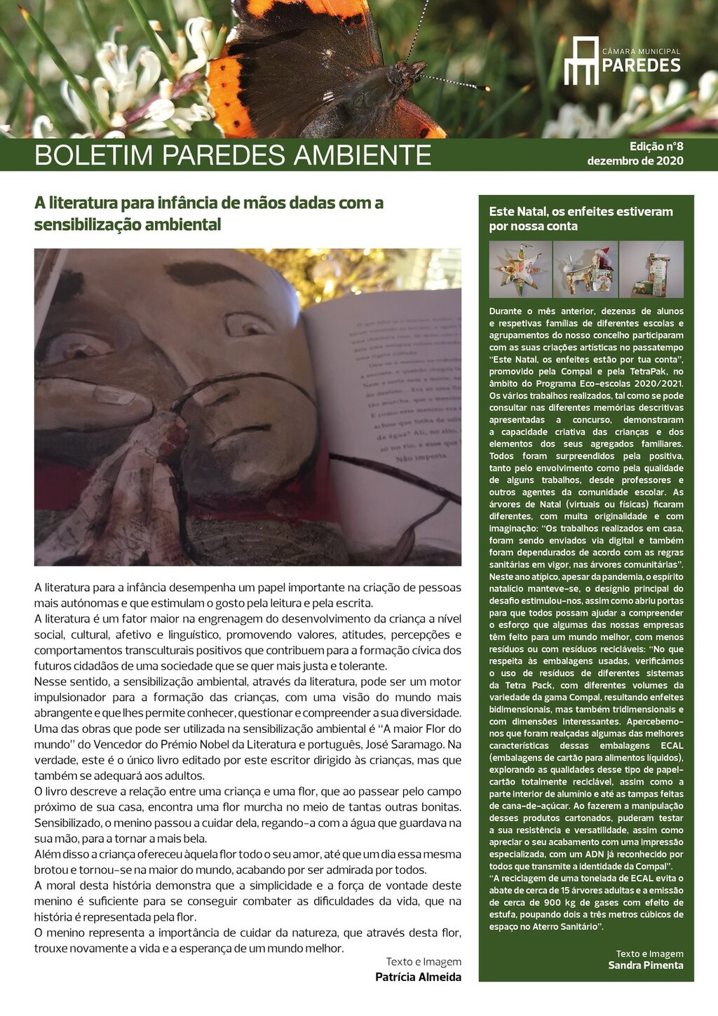 boletim nº 8 - 1