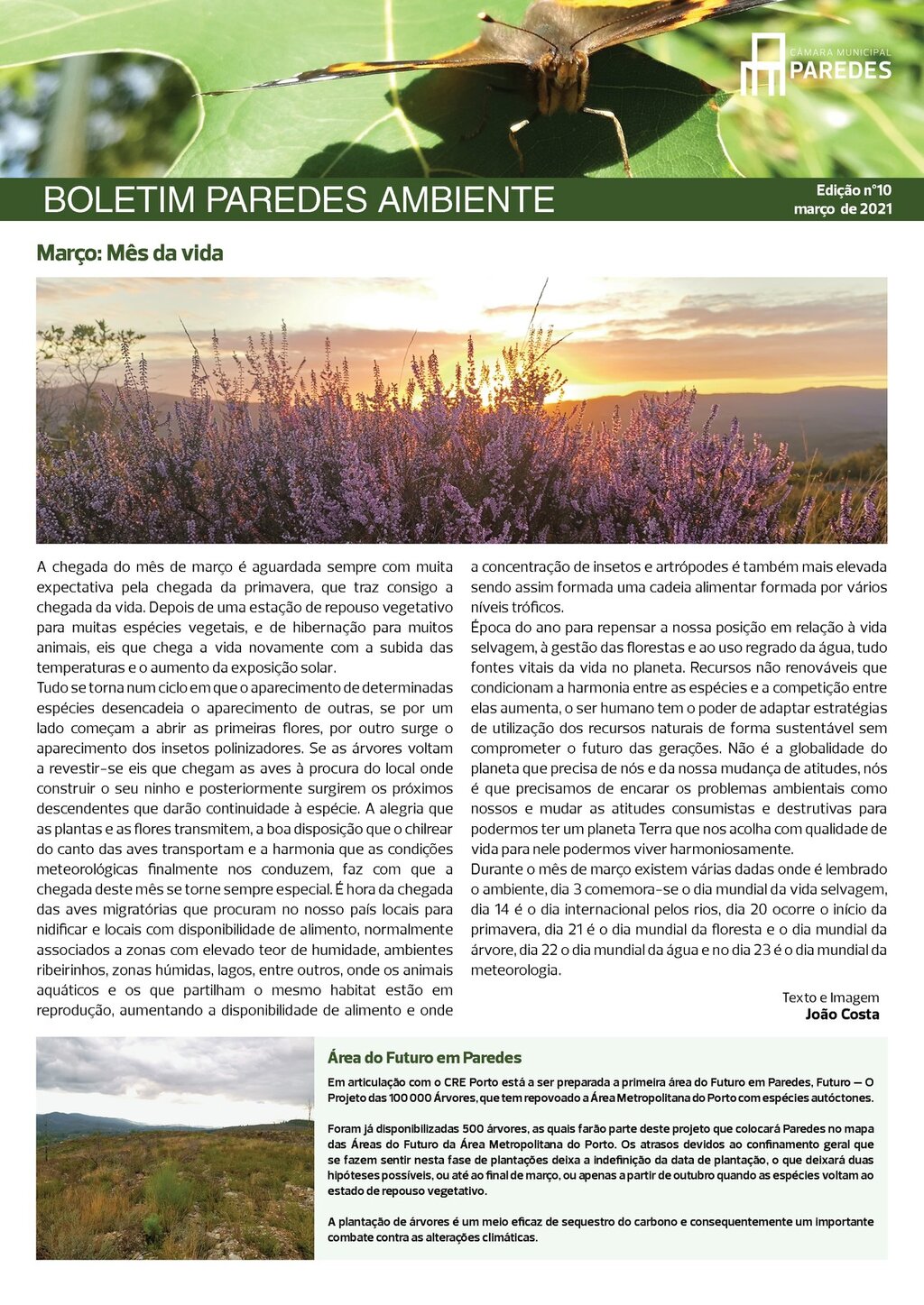 boletim ambiente n10 1