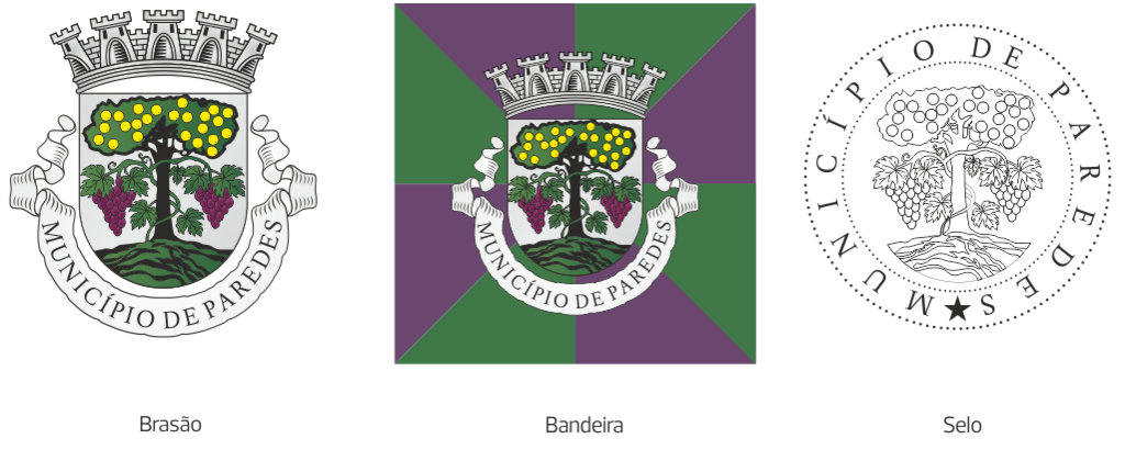 Bandeira_Brasão Município de Paredes_2