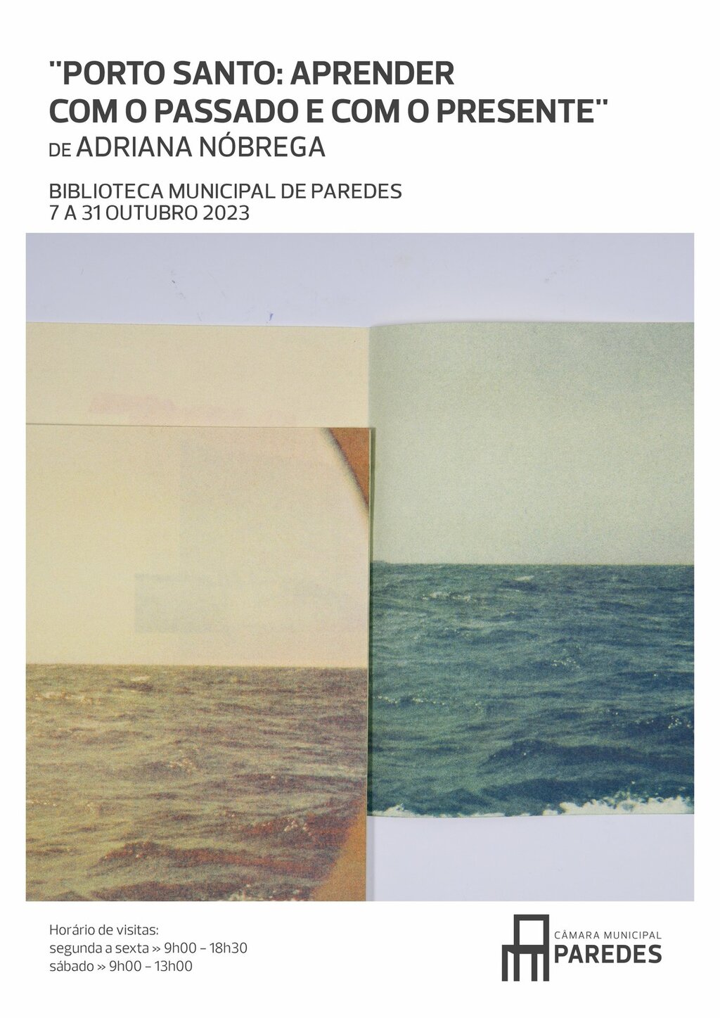 Cartaz_Adriana N&oacute;brega