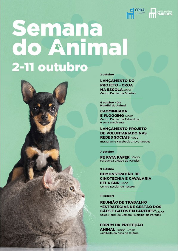 Cartaz Geral (2) (1)