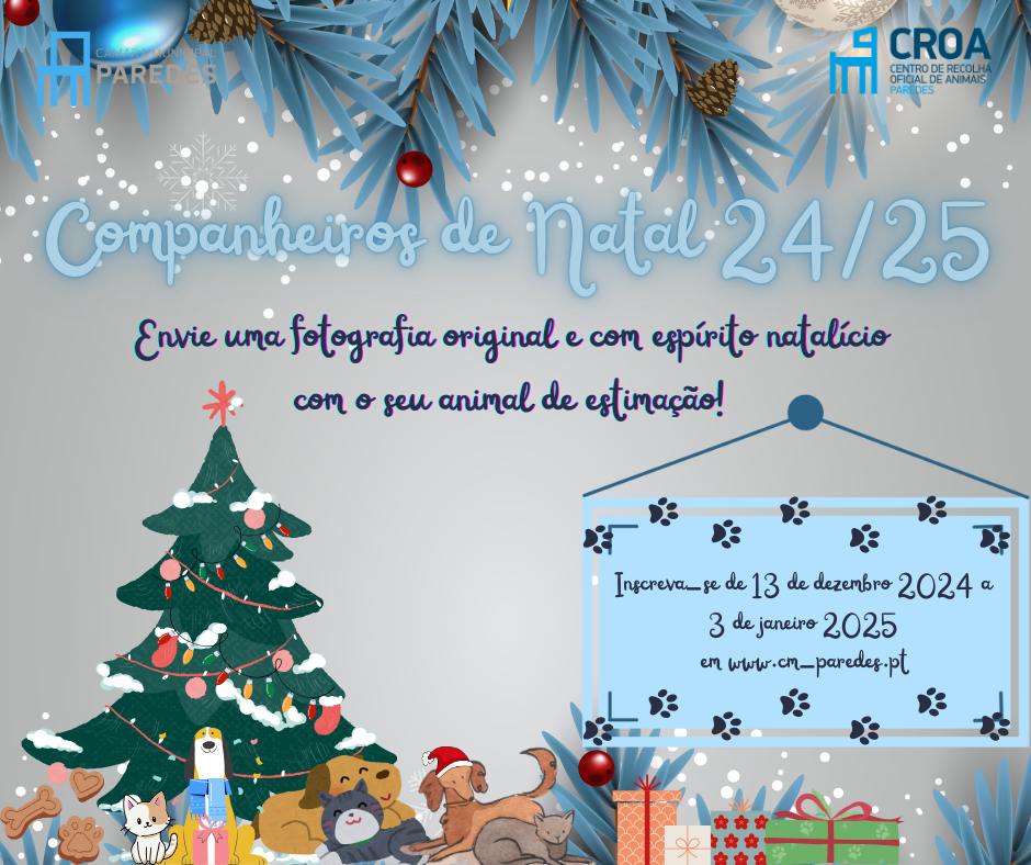 Companheiros de Natal 2024