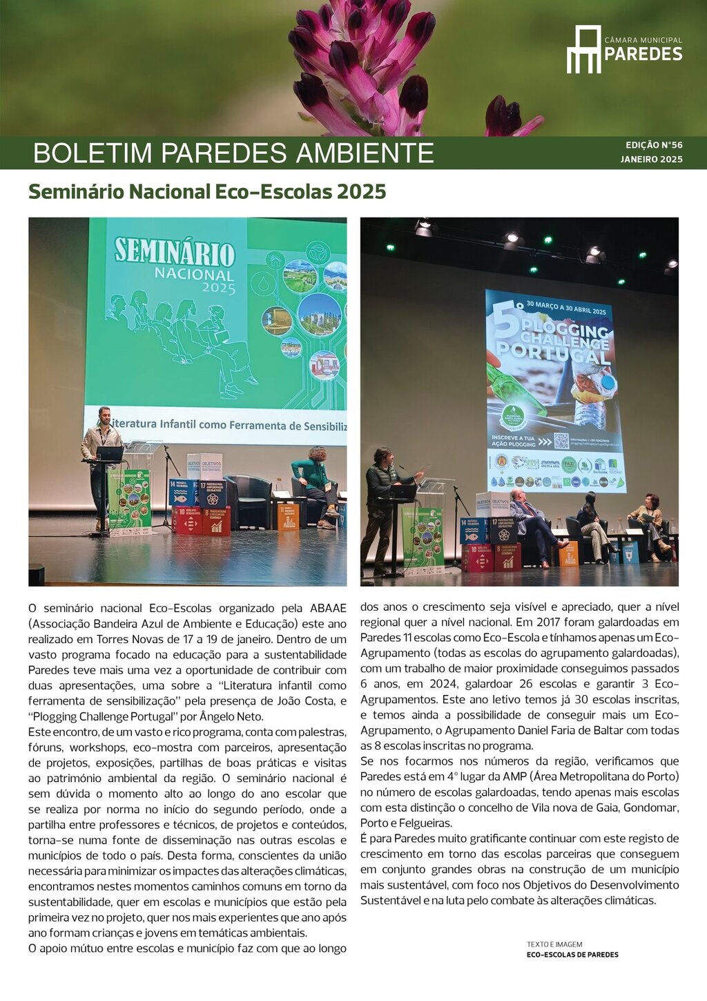 boletim ambiente