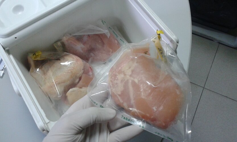 20161221 110245 1 1024 500