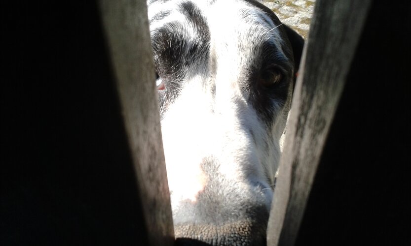 20150324 155409 1 1024 500