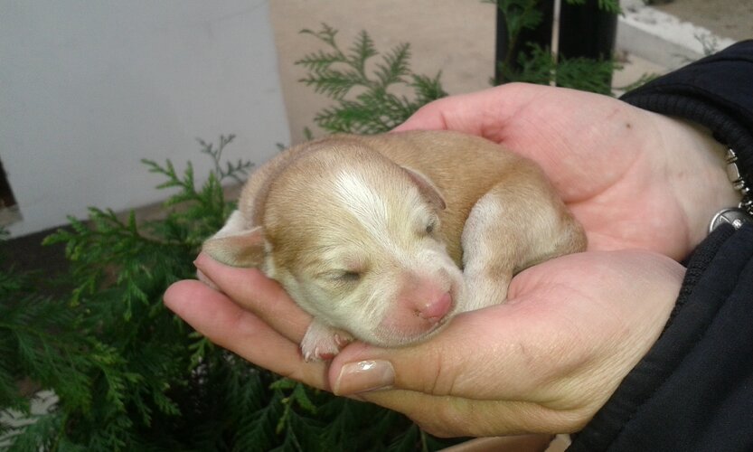 20160223 141413 1 1024 500